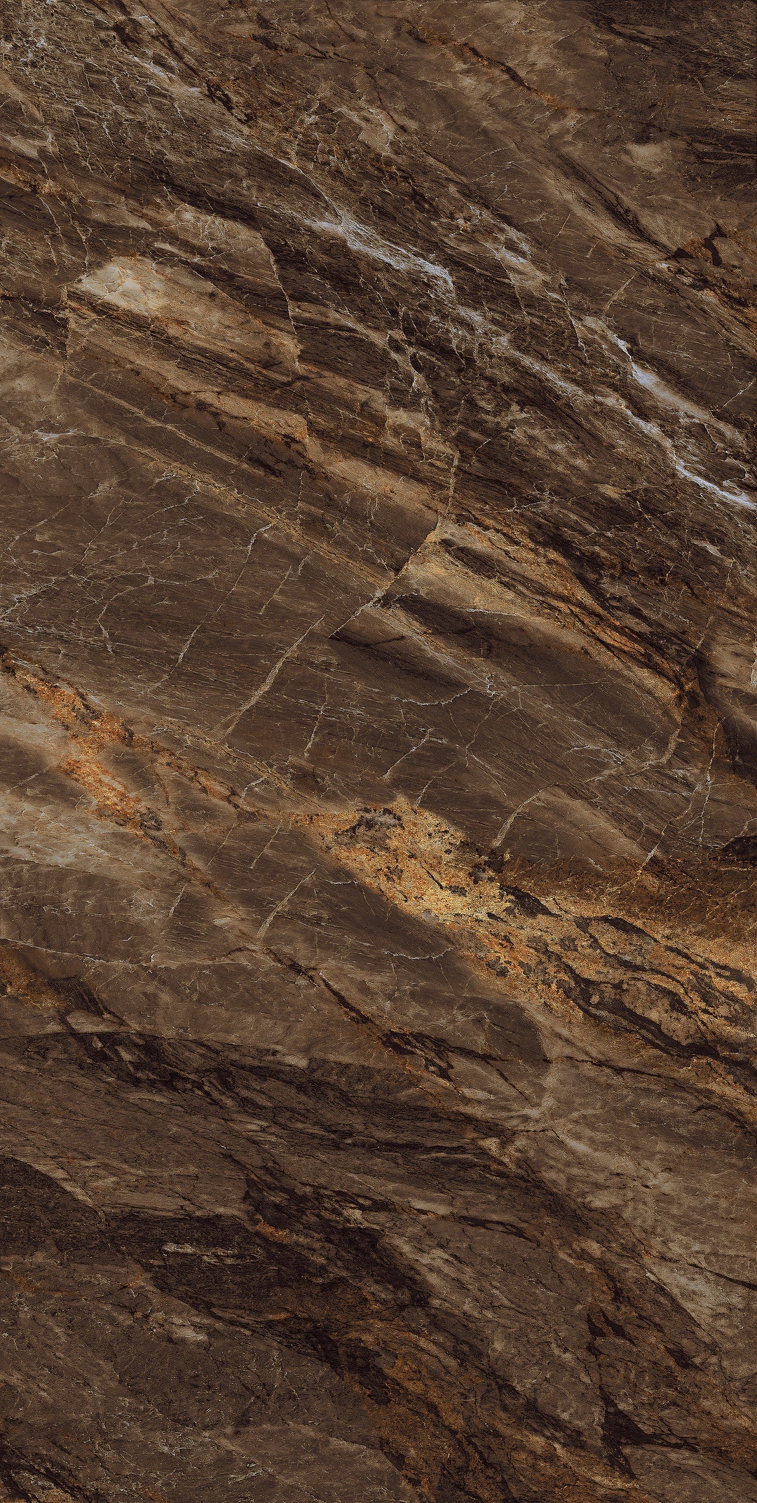 Bruno Brown High Gloss Porcelain 60x120cm Wall Floor Tiles