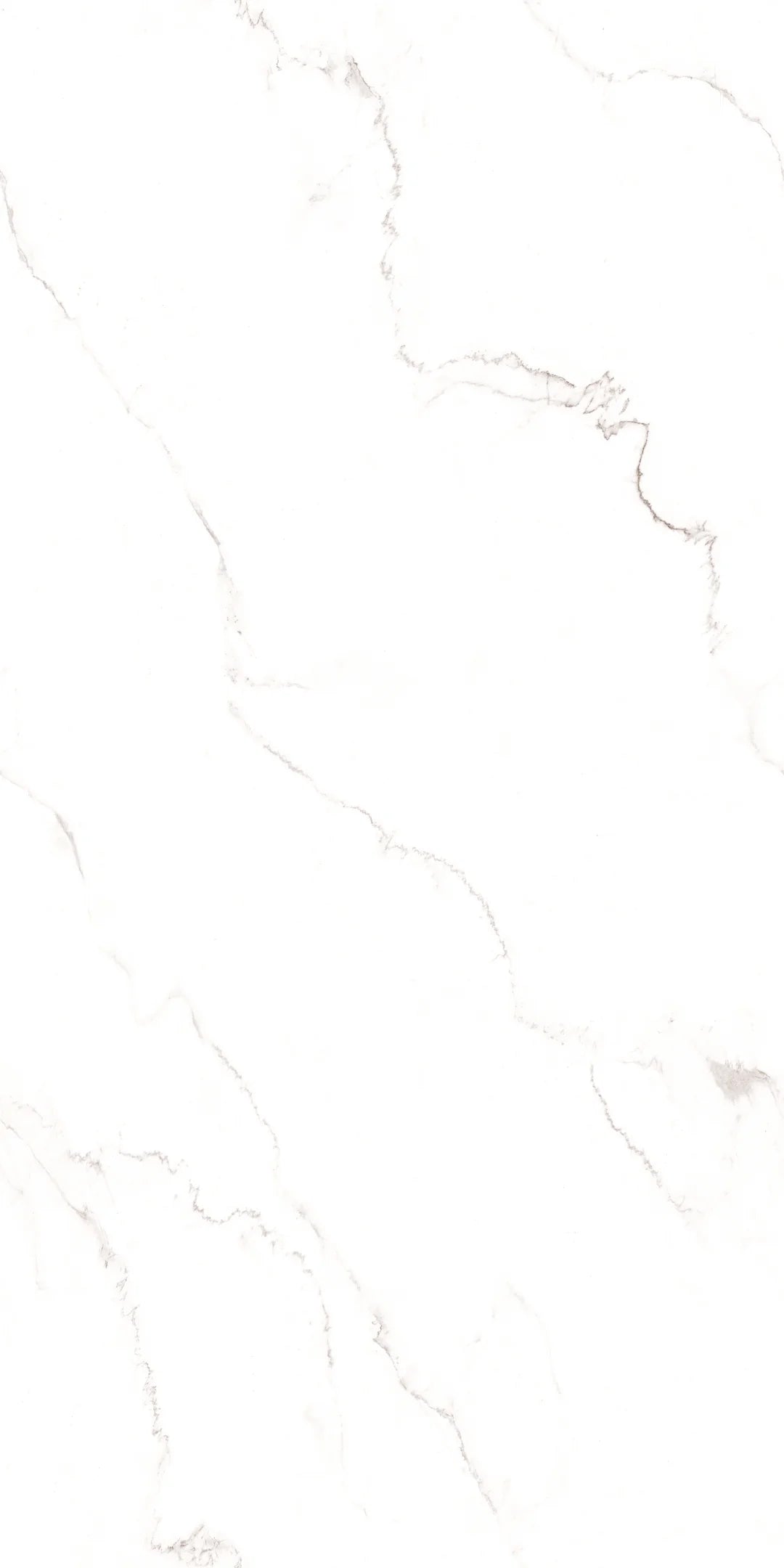 Flat Satvario White Glossy Glitter Carving 60x120cm Porcelain Wall Floor Tiles