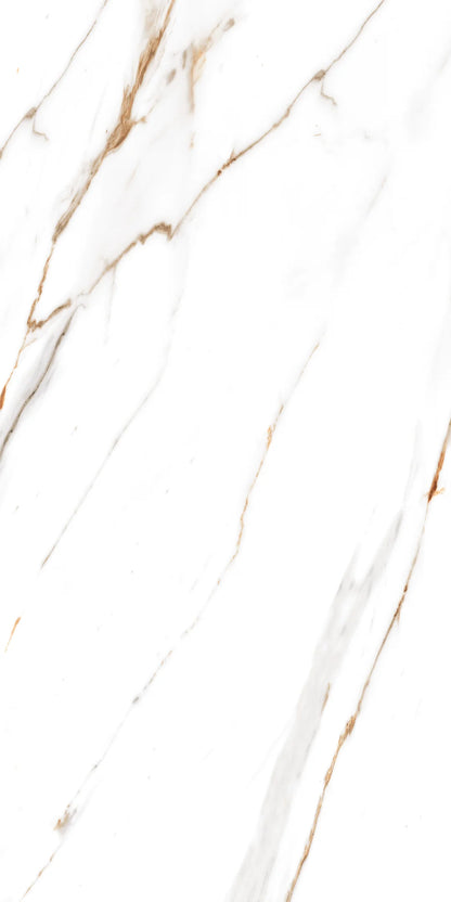 Golden Carrara Gloss Porcelain 60x120cm Wall and Floor Tiles
